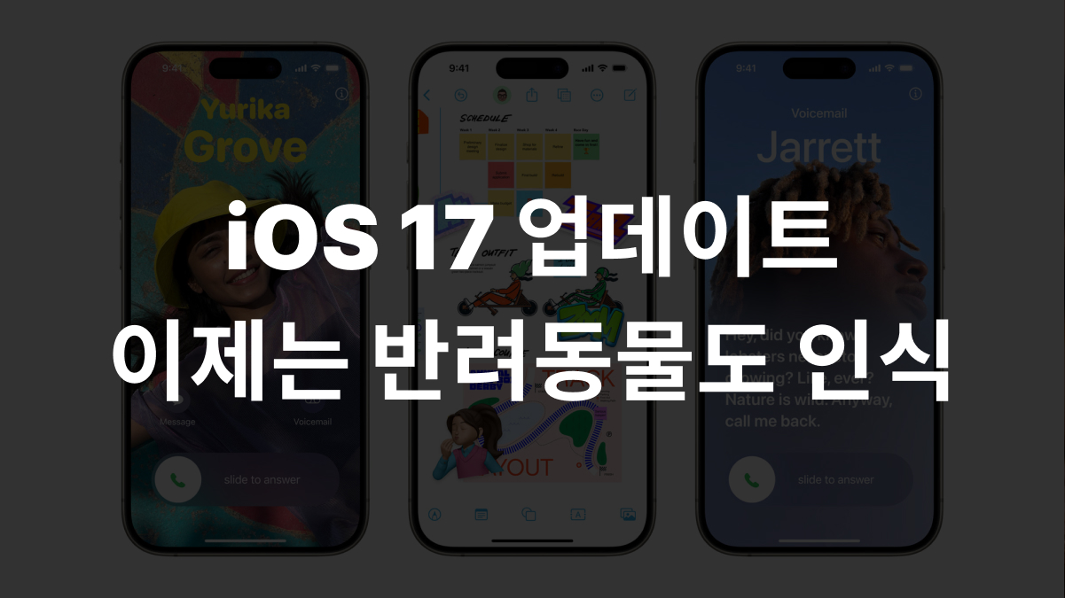 iOS 17 업데이트