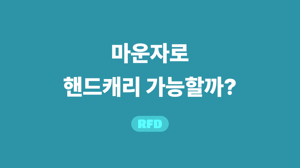 마운자로 핸드캐리