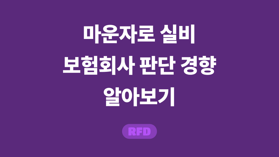 마운자로 실비2