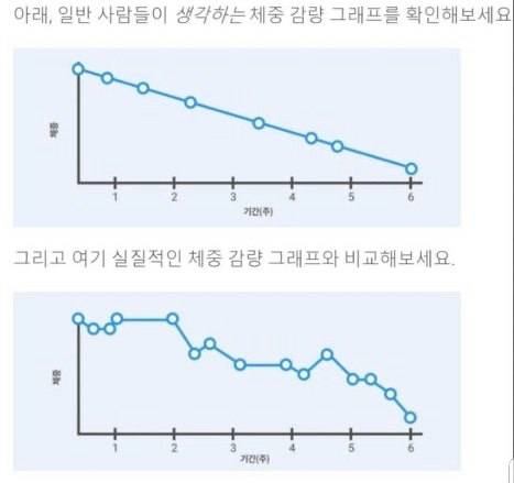 마운자로 한달 후기 10가지 변화|체중·식욕·부작용 현실 정리 2 image