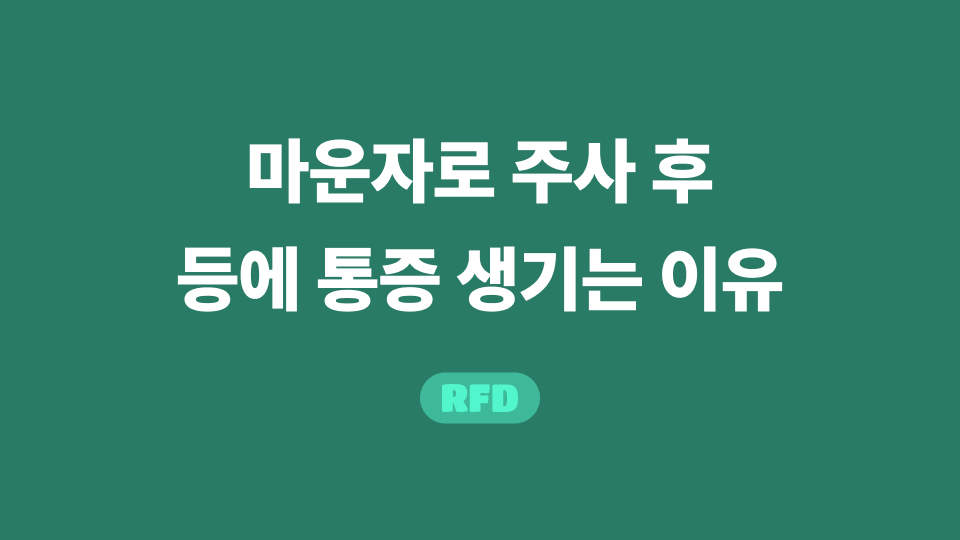 마운자로 등통증