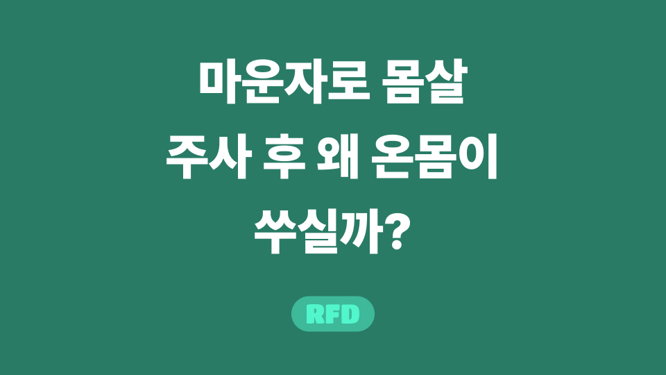 마운자로 몸살