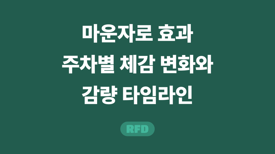 마운자로 효과 언제부터