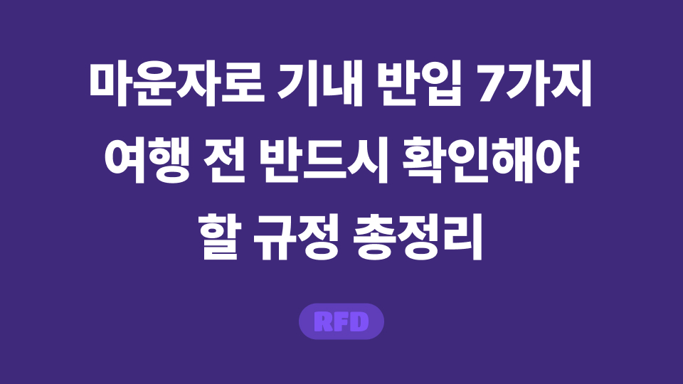 마운자로 기내 반입